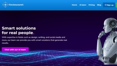 Redeepseek com